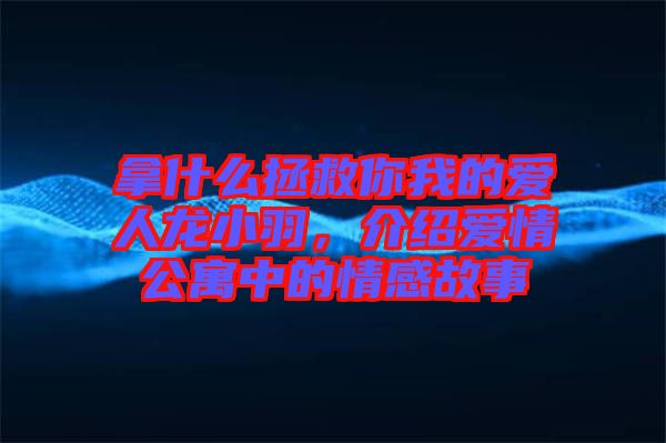 拿什么拯救你我的愛人龍小羽，介紹愛情公寓中的情感故事