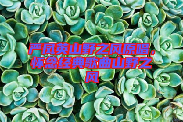嚴鳳英山野之風原唱，懷念經典歌曲山野之風
