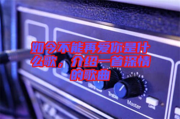 如今不能再愛你是什么歌，介紹一首深情的歌曲