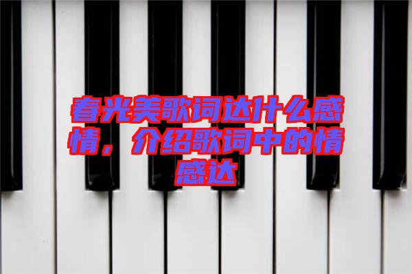 春光美歌詞達(dá)什么感情，介紹歌詞中的情感達(dá)