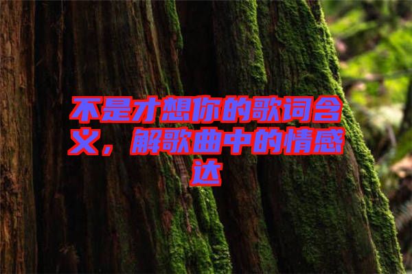 不是才想你的歌詞含義，解歌曲中的情感達