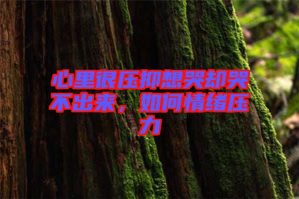 心里很壓抑想哭卻哭不出來(lái)，如何情緒壓力