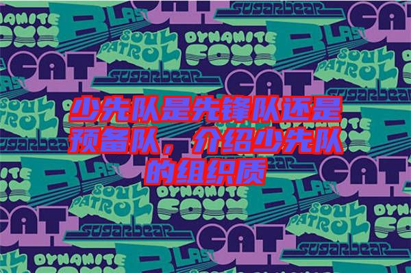 少先隊(duì)是先鋒隊(duì)還是預(yù)備隊(duì)，介紹少先隊(duì)的組織質(zhì)