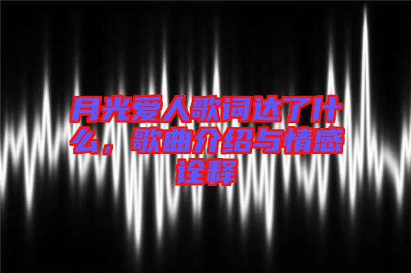 月光愛人歌詞達(dá)了什么，歌曲介紹與情感詮釋