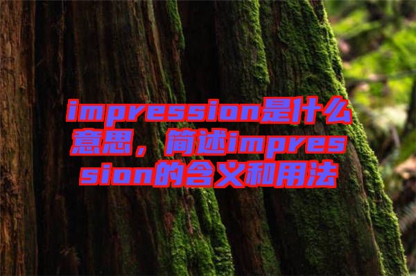 impression是什么意思，簡述impression的含義和用法