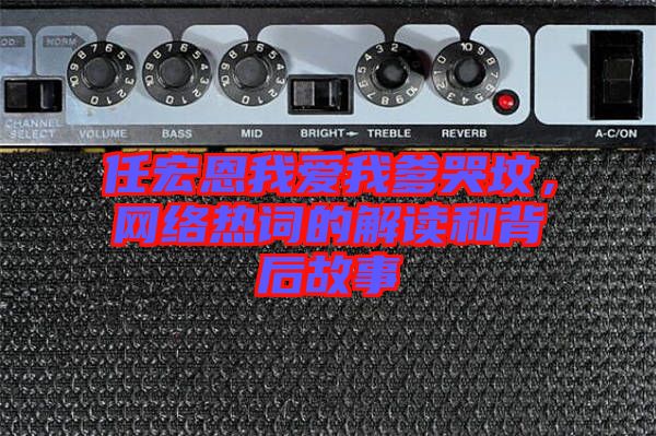 任宏恩我愛我爹哭墳，網(wǎng)絡(luò)熱詞的解讀和背后故事