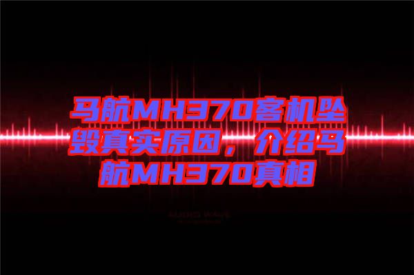 馬航MH370客機(jī)墜毀真實原因，介紹馬航MH370真相