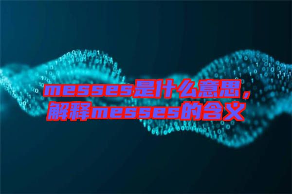 messes是什么意思，解釋messes的含義