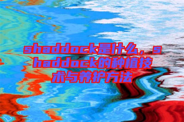 shaddock是什么，shaddock的種植技術(shù)與養(yǎng)護(hù)方法