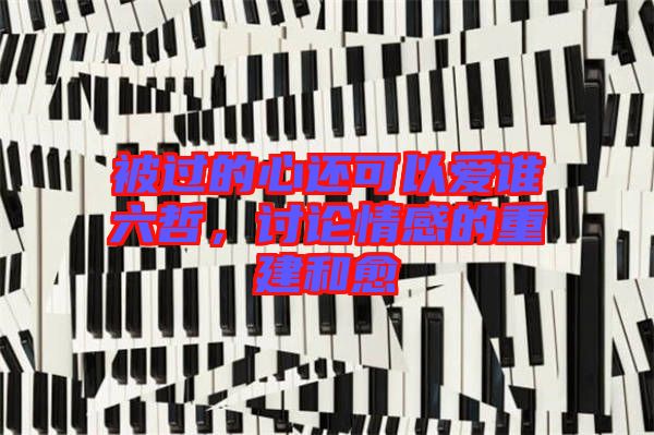 被過(guò)的心還可以愛(ài)誰(shuí)六哲，討論情感的重建和愈