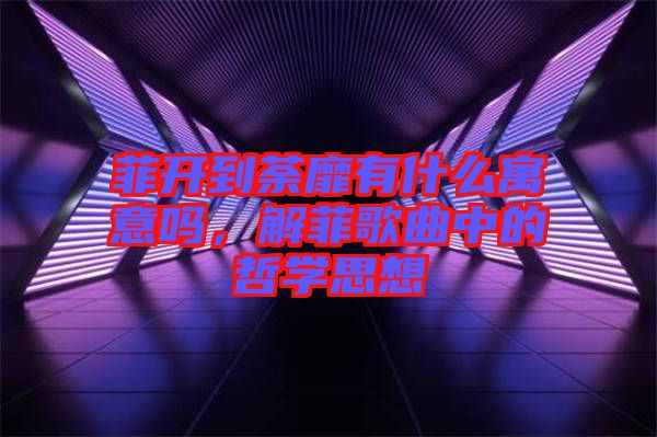菲開到荼靡有什么寓意嗎，解菲歌曲中的哲學(xué)思想