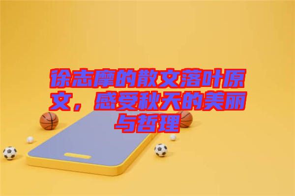 徐志摩的散文落葉原文，感受秋天的美麗與哲理