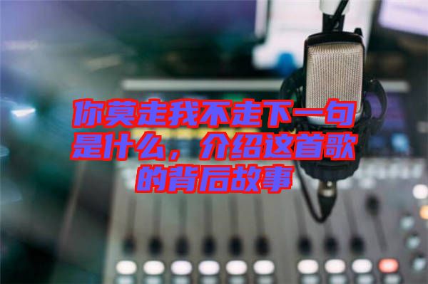 你莫走我不走下一句是什么，介紹這首歌的背后故事