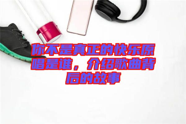 你不是真正的快樂原唱是誰，介紹歌曲背后的故事