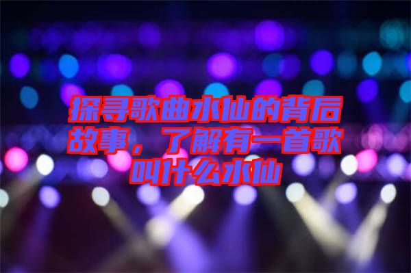 探尋歌曲水仙的背后故事，了解有一首歌叫什么水仙