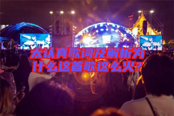 太認(rèn)真歌詞及解析為什么這首歌這么火？