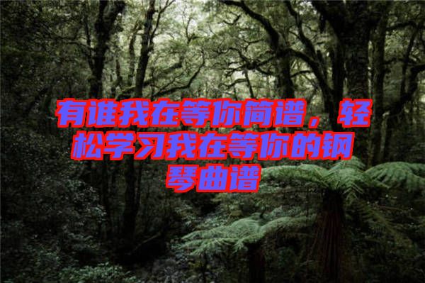 有誰(shuí)我在等你簡(jiǎn)譜，輕松學(xué)習(xí)我在等你的鋼琴曲譜