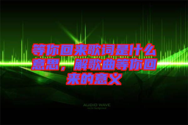等你回來歌詞是什么意思，解歌曲等你回來的意義