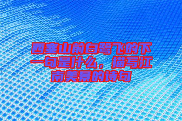 西塞山前白鷺飛的下一句是什么，描寫江南美景的詩句