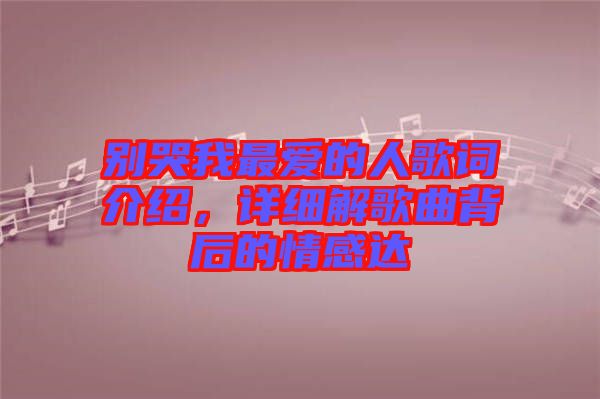 別哭我最愛的人歌詞介紹，詳細(xì)解歌曲背后的情感達(dá)