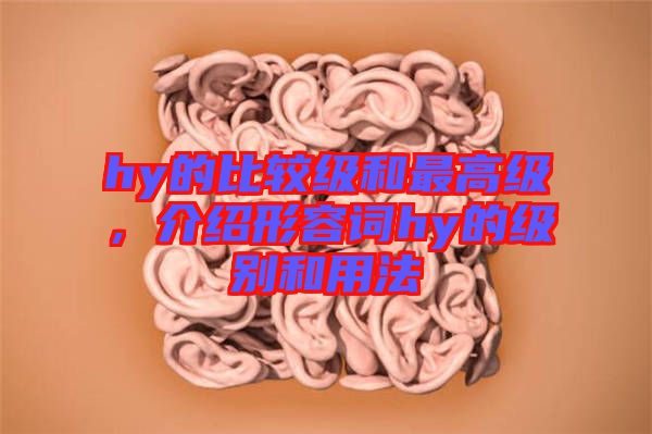 hy的比較級和最高級，介紹形容詞hy的級別和用法