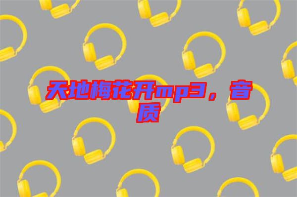 天地梅花開mp3，音質(zhì)