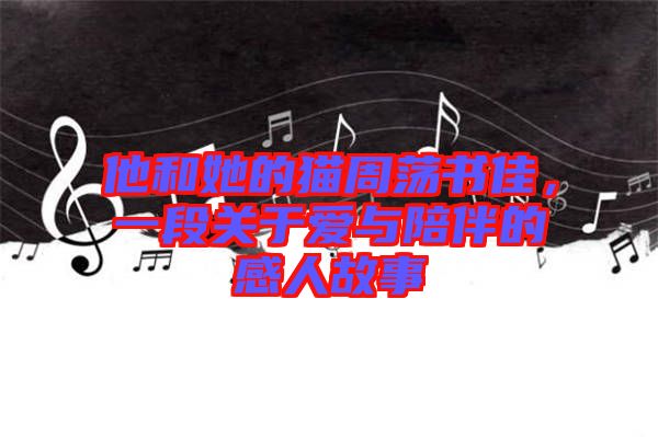 他和她的貓周蕩書佳，一段關(guān)于愛與陪伴的感人故事