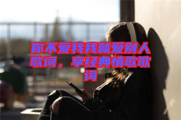 你不愛我我就愛別人歌詞，享經(jīng)典情歌歌詞