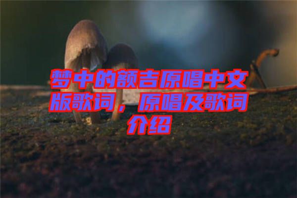 夢中的額吉原唱中文版歌詞，原唱及歌詞介紹