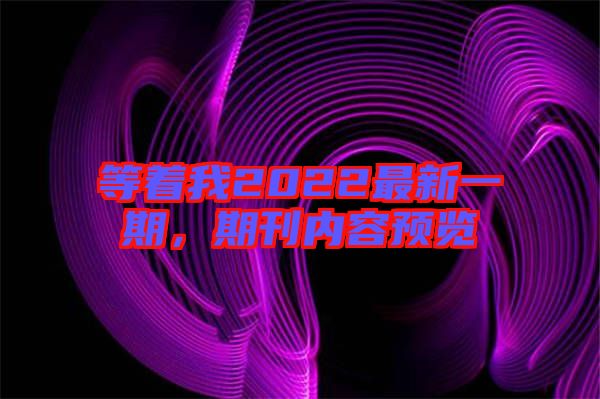 等著我2022最新一期，期刊內(nèi)容預(yù)覽