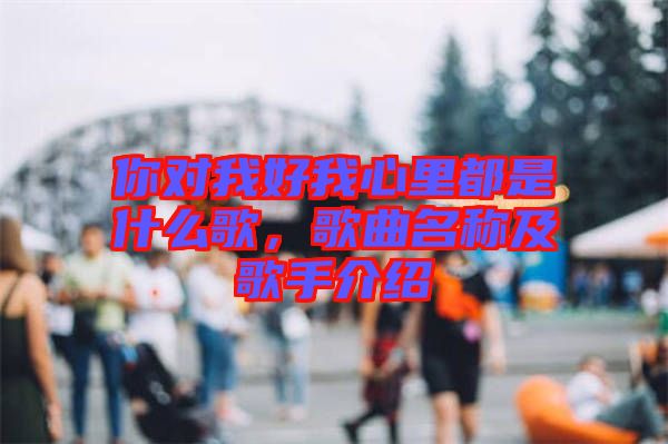 你對我好我心里都是什么歌，歌曲名稱及歌手介紹