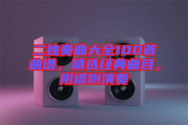 二獨(dú)奏曲大全100首曲譜，精選經(jīng)典曲目，附譜附演奏