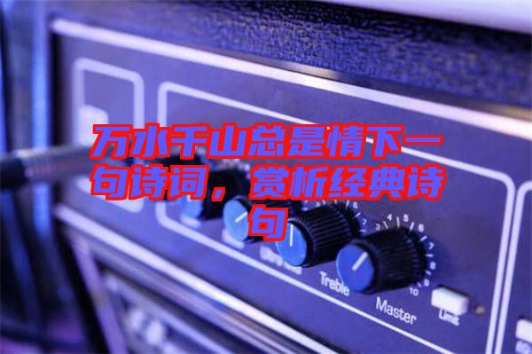 萬水千山總是情下一句詩詞，賞析經(jīng)典詩句