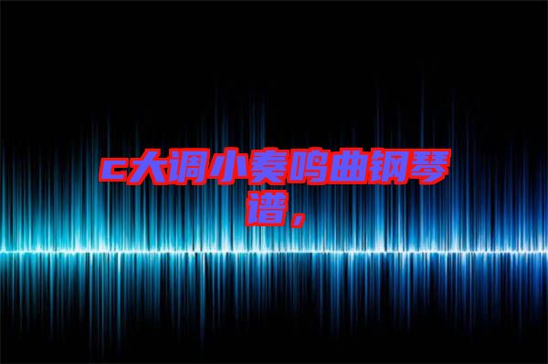 c大調(diào)小奏鳴曲鋼琴譜，