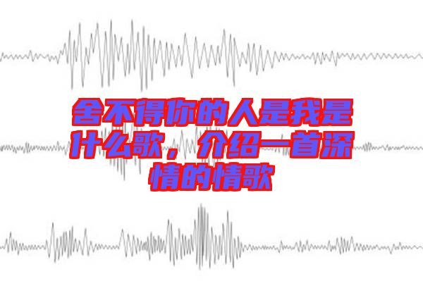 舍不得你的人是我是什么歌，介紹一首深情的情歌