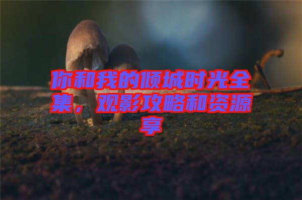 你和我的傾城時光全集，觀影攻略和資源享