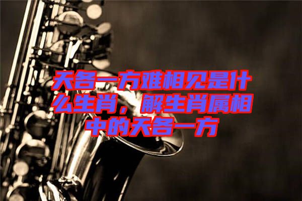 天各一方難相見是什么生肖，解生肖屬相中的天各一方