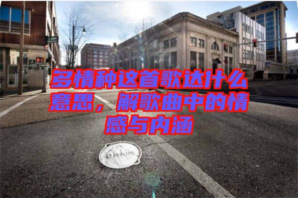 多情種這首歌達什么意思，解歌曲中的情感與內涵