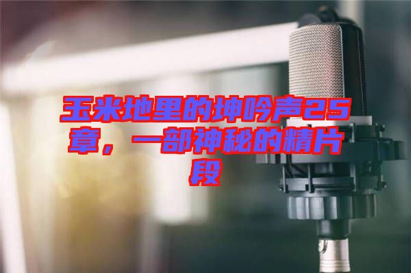 玉米地里的坤吟聲25章，一部神秘的精片段
