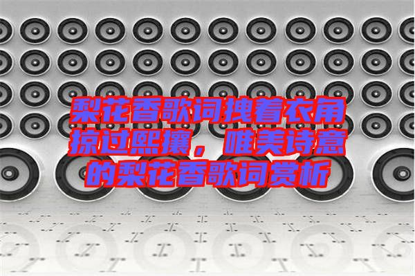 梨花香歌詞拽著衣角掠過熙攘，唯美詩意的梨花香歌詞賞析