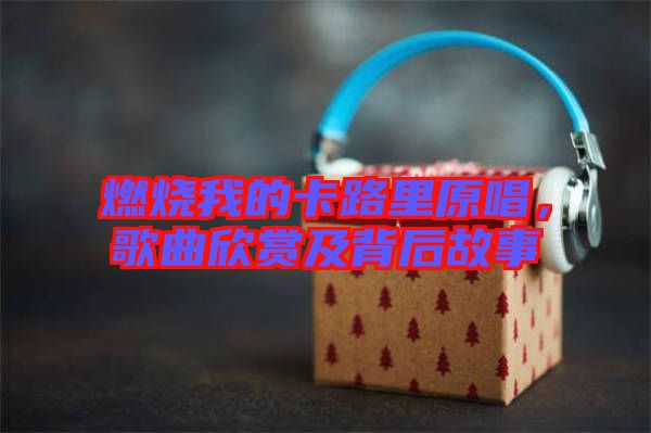 燃燒我的卡路里原唱，歌曲欣賞及背后故事