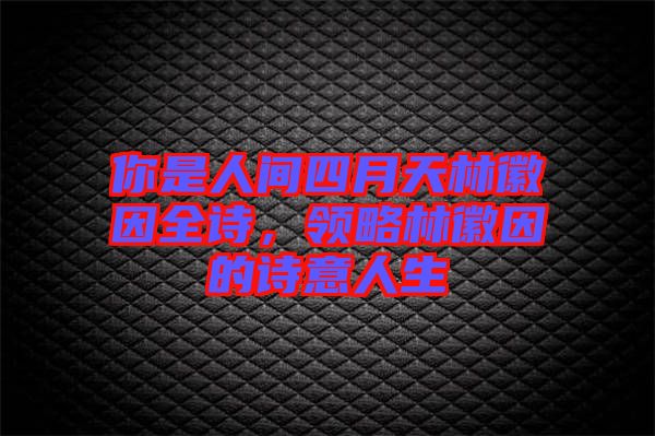 你是人間四月天林徽因全詩，領略林徽因的詩意人生