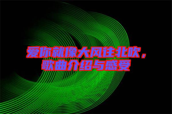 愛(ài)你就像大風(fēng)往北吹，歌曲介紹與感受