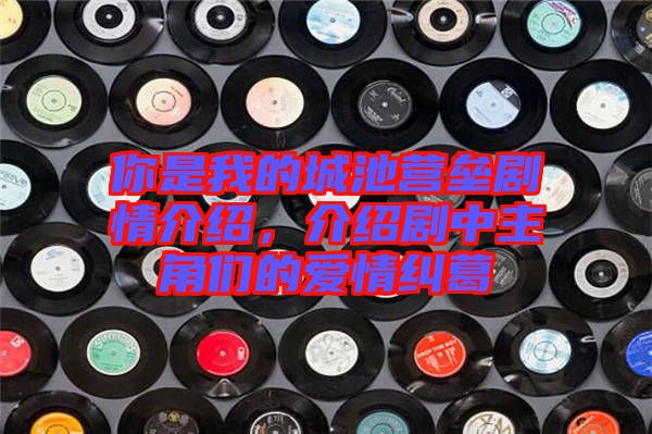 你是我的城池營(yíng)壘劇情介紹，介紹劇中主角們的愛情糾葛