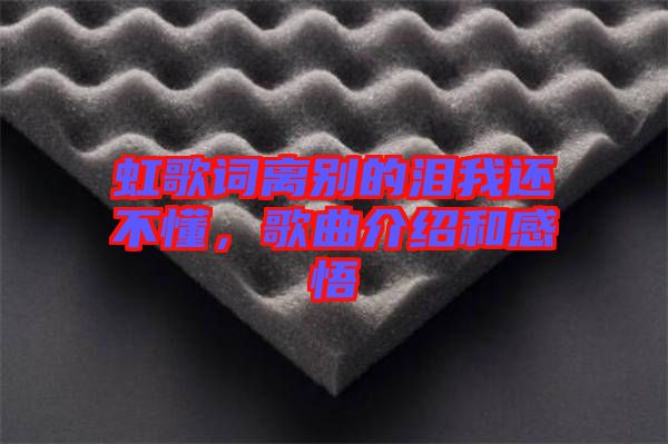 虹歌詞離別的淚我還不懂，歌曲介紹和感悟