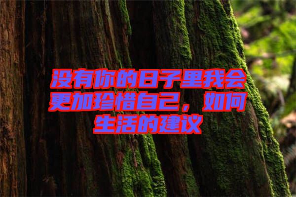 沒有你的日子里我會(huì)更加珍惜自己，如何生活的建議