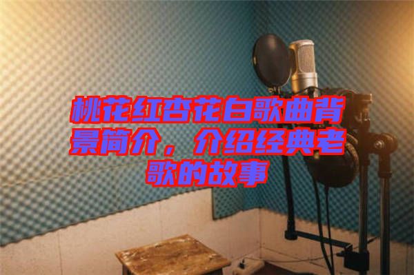 桃花紅杏花白歌曲背景簡介，介紹經(jīng)典老歌的故事