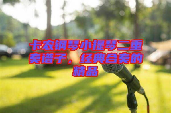 卡農(nóng)鋼琴小提琴二重奏譜子，經(jīng)典合奏的精品
