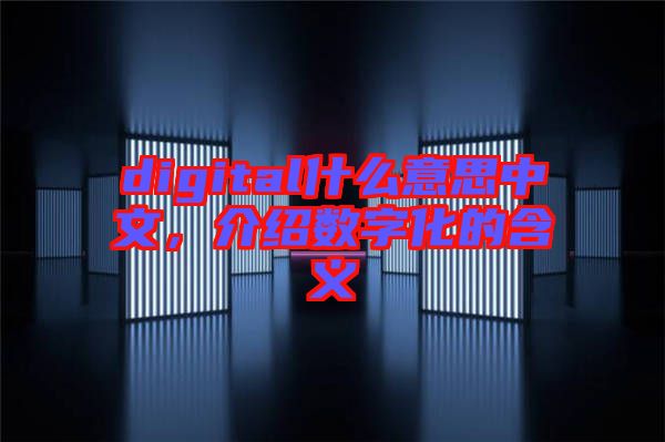 digital什么意思中文，介紹數(shù)字化的含義
