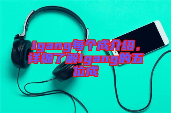 igang每個成介紹，詳細(xì)了解igang的五位成